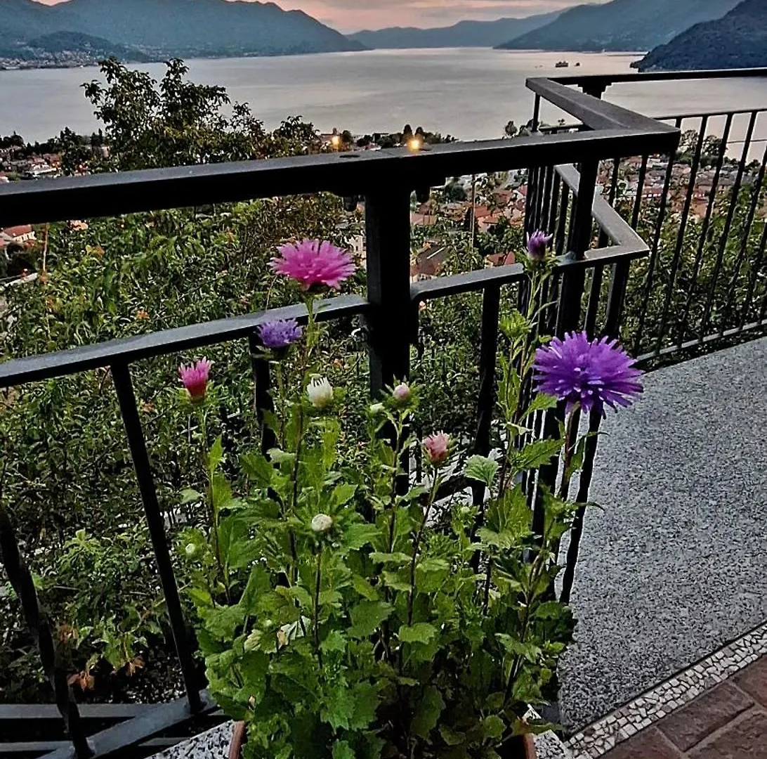 Sole & Lago-Lake Maccagno